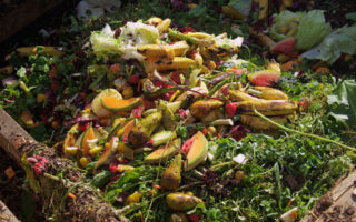 A photo of a pile of food waste, primarily fruit and vegetables that have been discarded